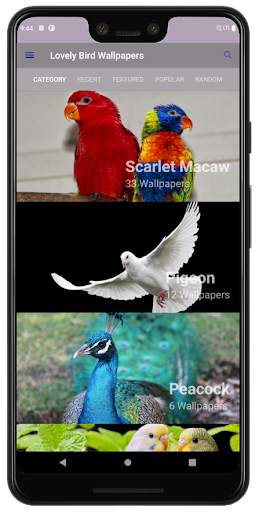 PhoneStack - Lovely Bird Wallpaper (QHD, 4K & UHD) screenshot 2
