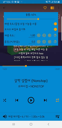 뮤직캣 - 가사 지원 뮤직 플레이어, 구간 반복, 재생 속도, 음정 조절 screenshot 4