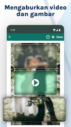 Blur Video & Gambar screenshot 1