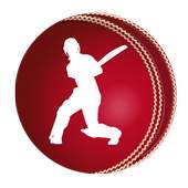 Cricket Score Board 1.2