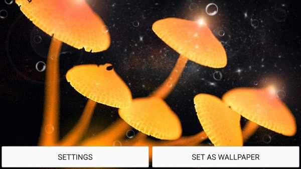 Mushrooms Live Wallpaper स्क्रीनशॉट 6