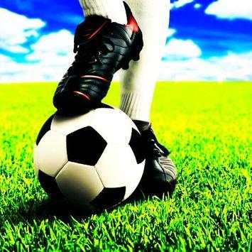 Flick Sepakbola Bola screenshot 2