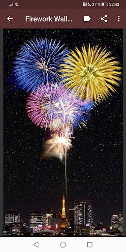 Fireworks Wallpapers screenshot 4