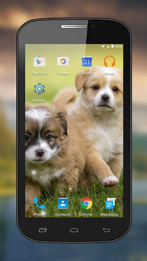 Puppy Live Wallpapers screenshot 1