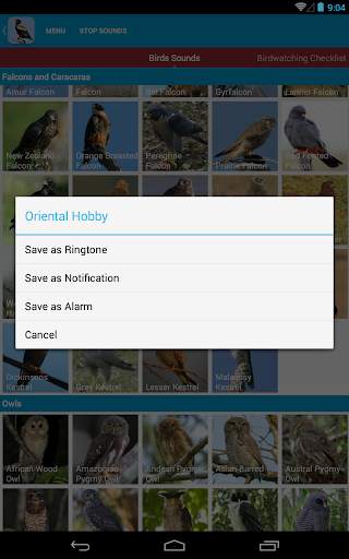 Birds of Prey Sounds Free screenshot 15