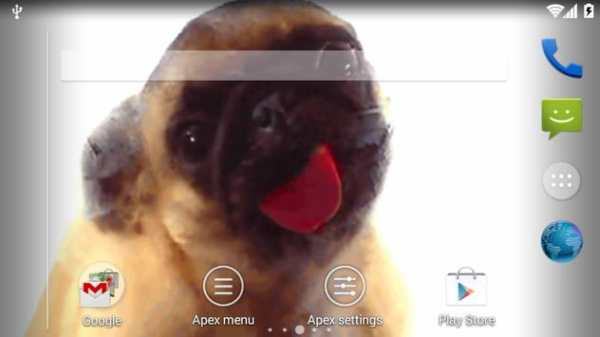 Dog Lick Screen Cleaner screenshot 2