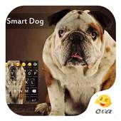 Disappoint Bull Dog Keyboard 1.0