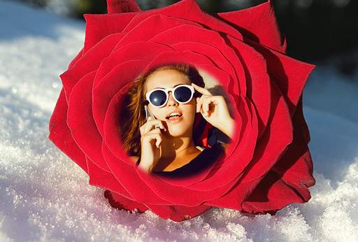 Rose Flower Photo Frames 2016 screenshot 3