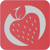 Manager Lite icon