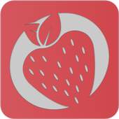 Manager Lite 1.0