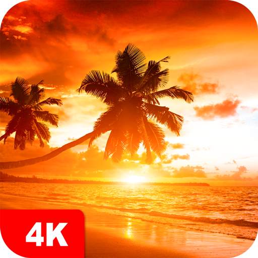 Sunset Wallpapers 4K 5.6.25