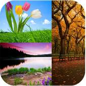 Charming Nature Backgrounds 4.1