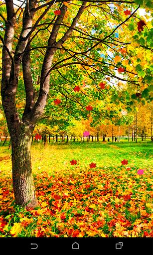 Garden Live Wallapaper screenshot 7