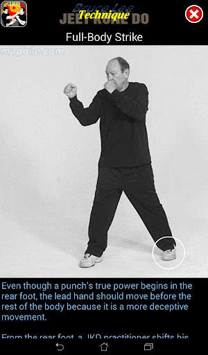 Bruce Lee Jeet Kune Do screenshot 11