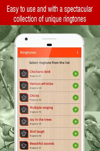 bird ringtones for phone, bird sounds ringtones screenshot 2