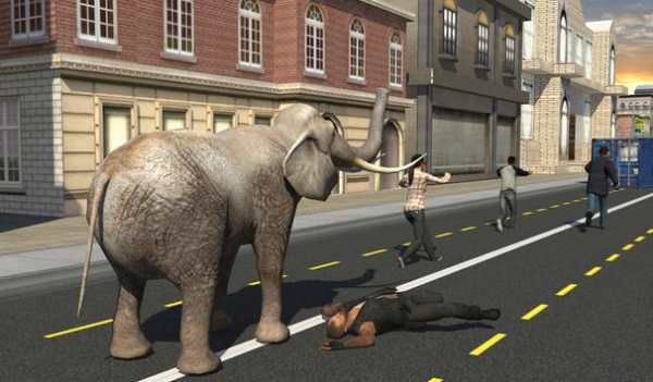 Elephant Racing Simulator 2016 screenshot 17
