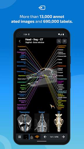 vet-Anatomy screenshot 2