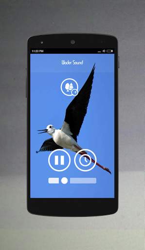 Bird Sounds screenshot 2