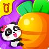 Baby Panda: Magical Opposites 9.76.00.01