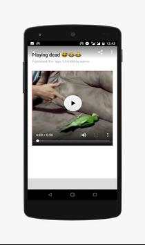 Funny Animals-Video screenshot 1