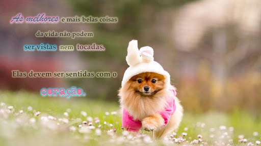Imagens com Frases de Bom Dia Amor 8 تصوير الشاشة