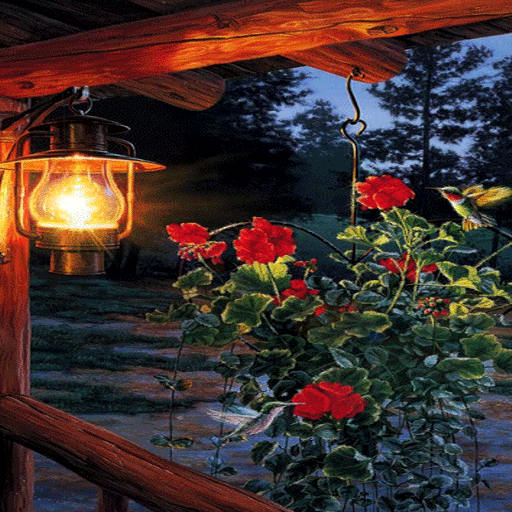 Flowers In Night LWP أيقونة