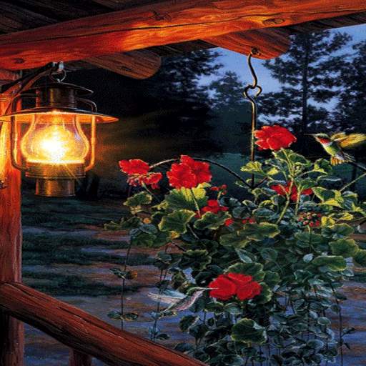 Flowers In Night LWP 3