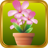 Mini Garden icon