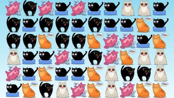 Caty Crush screenshot 2
