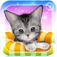 My Cat My Room logo