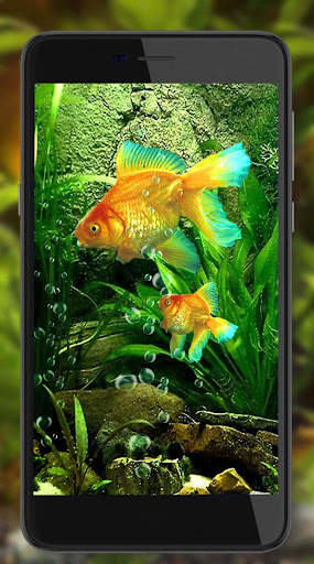 Fish Gold Live Wallpaper screenshot 3