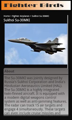 Fighter Birds स्क्रीनशॉट 4