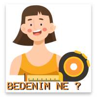 ikon Bedenim Ne?