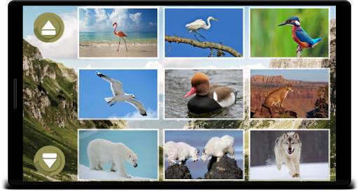 Animal Sounds screenshot 12