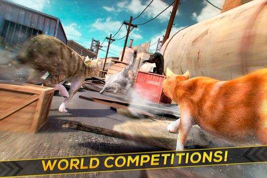 3D Cat Simulator Game For Free screenshot 2