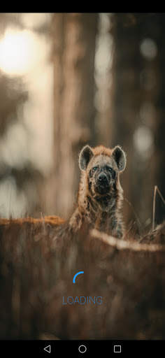 hyena sounds screenshot 2