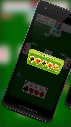 29 card game screenshot 4