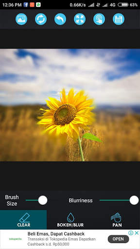 Bokeh Maker (Blur Background/Focus Lens) скриншот 2
