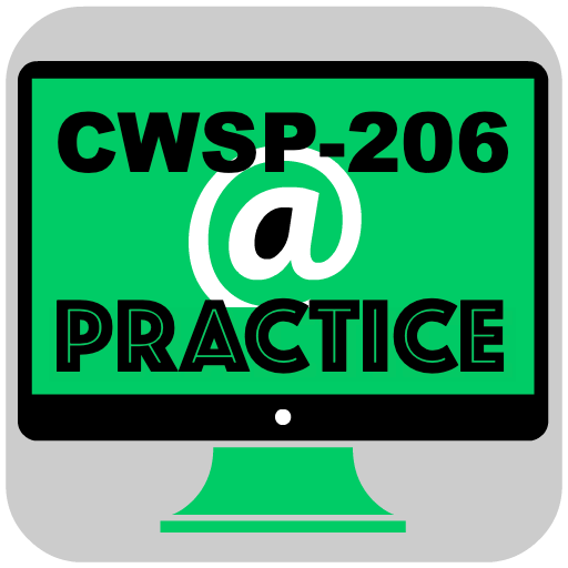 CWSP-206 Practice Exam - Wireless Security Pro icon
