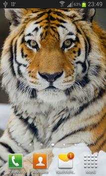 Tiger Live Wallpaper screenshot 1