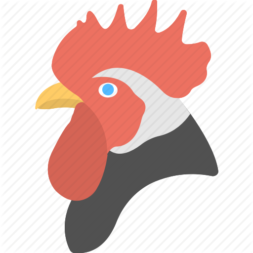Birds Sounds icon