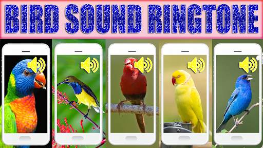Birds Sound Ringtone screenshot 1