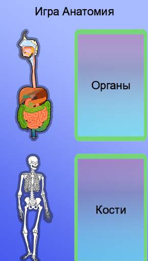 Игра Анатомия скриншот 2