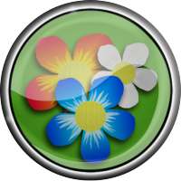Flowers live photo frame icon