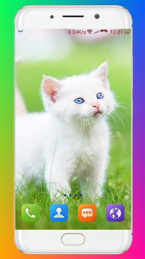 Cat Wallpaper HD screenshot 5