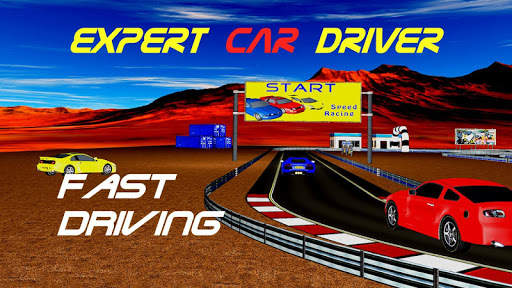 Expert car driver स्क्रीनशॉट 2