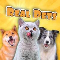 Real Pets: Adopt and Play! icon