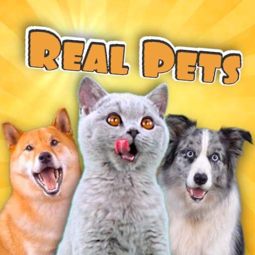 Real Pets: Adopt and Play! 552