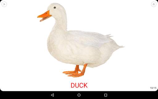 Little flash cards screenshot 11