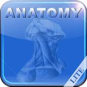 Human Anatomy I Lite logo